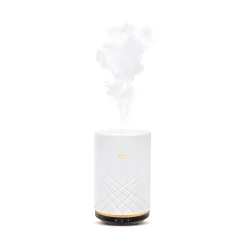 Depot Geschenkideen^Air Sonic Elektrischer Aroma-Diffusor Elegance
