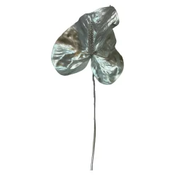 Depot Blumen^Anthurium Ca. 80Cm, Silber
