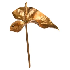 Depot Blumen^Anthurium Ca. 80Cm, Silber