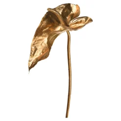 Depot Blumen^Anthurium Ca. 80Cm, Silber