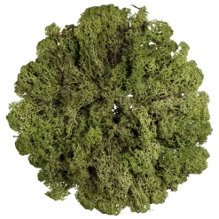 Depot Adventskerzen^Deko-Adventskranz-Set Christmas Glam