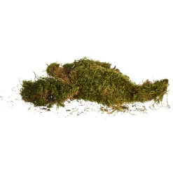 Depot Deko-Lappenmoos> Basteln & Diy