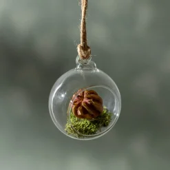 Depot Deko-Lappenmoos><noscript><img width=