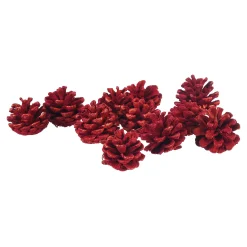 Depot Adventskranz-Deko^Deko-Larchenzapfen, Beflockt