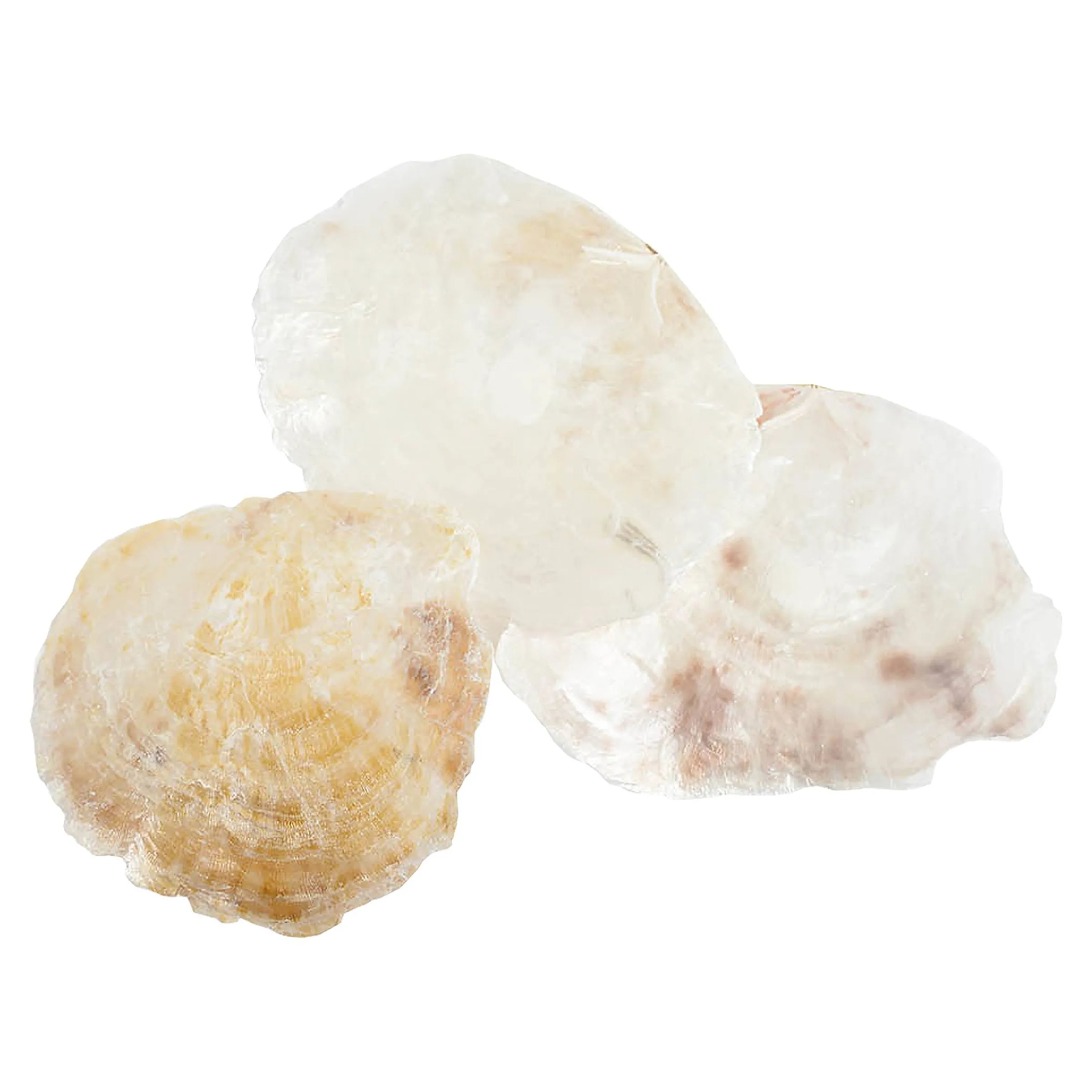 Depot Geschenkideen^Deko-Muscheln Capizscheiben