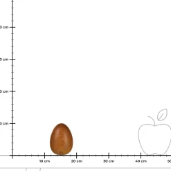 Depot Deko-Objekt Ei Wood><noscript><img width=