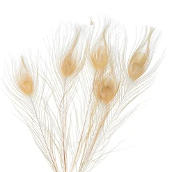 Depot Deko-Pfauenfedern> Basteln & Diy