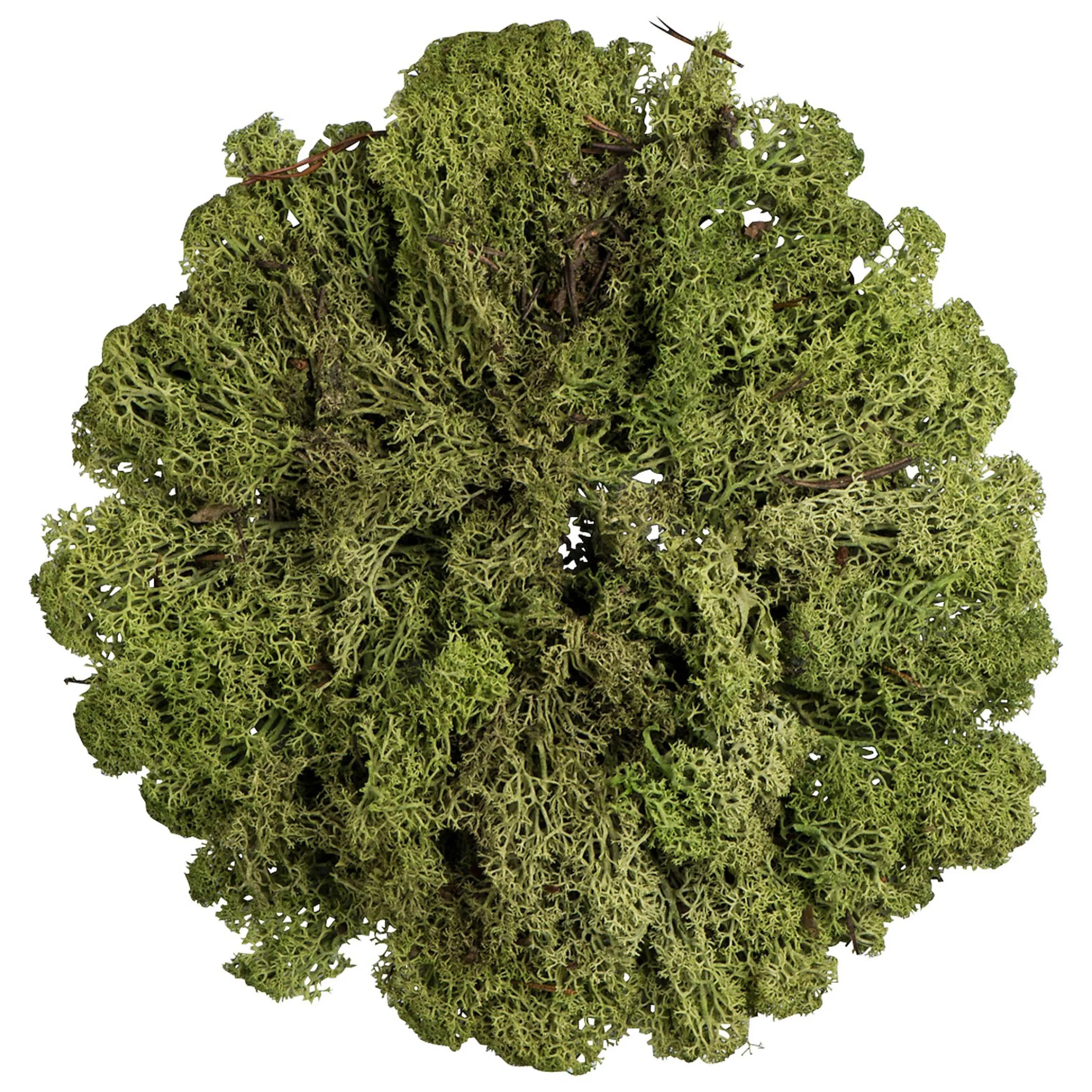 Depot Adventskranze & Zubehör^Deko-Set Christmas Bowl