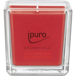 Depot Essentials Duftkerze Winter Apple> Kerzen