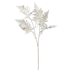 Depot Adventskranz-Deko^Farnzweig 88Cm, Grun