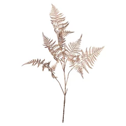 Depot Adventskranz-Deko^Farnzweig 88Cm, Grun