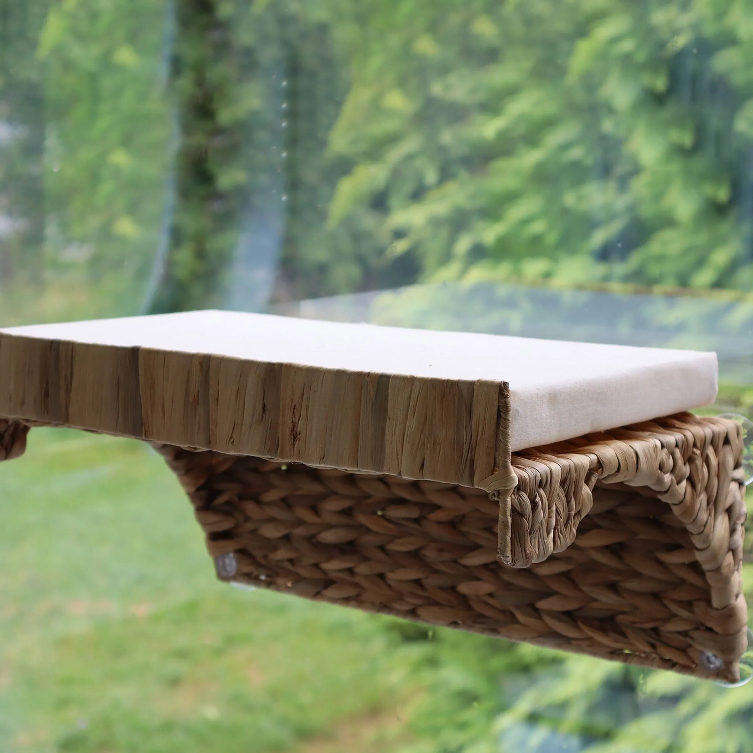 Depot Geschenkideen^Fensterliege Comfort Mit Saugnapfen