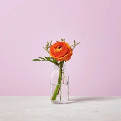 Depot Flaschenvase Bernice> Vasen