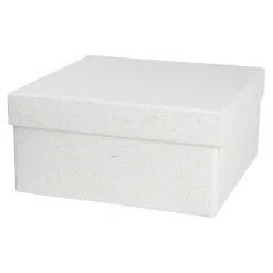 Depot Tuten & Boxen^Geschenkbox Sparkle