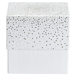 Depot Tuten & Boxen^Geschenkbox Stardust