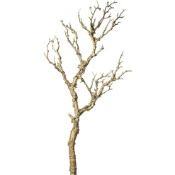 Depot Kunstast> Einzelblumen & Zweige