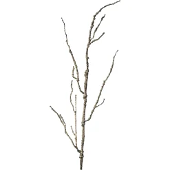 Depot Kunstast> Einzelblumen & Zweige