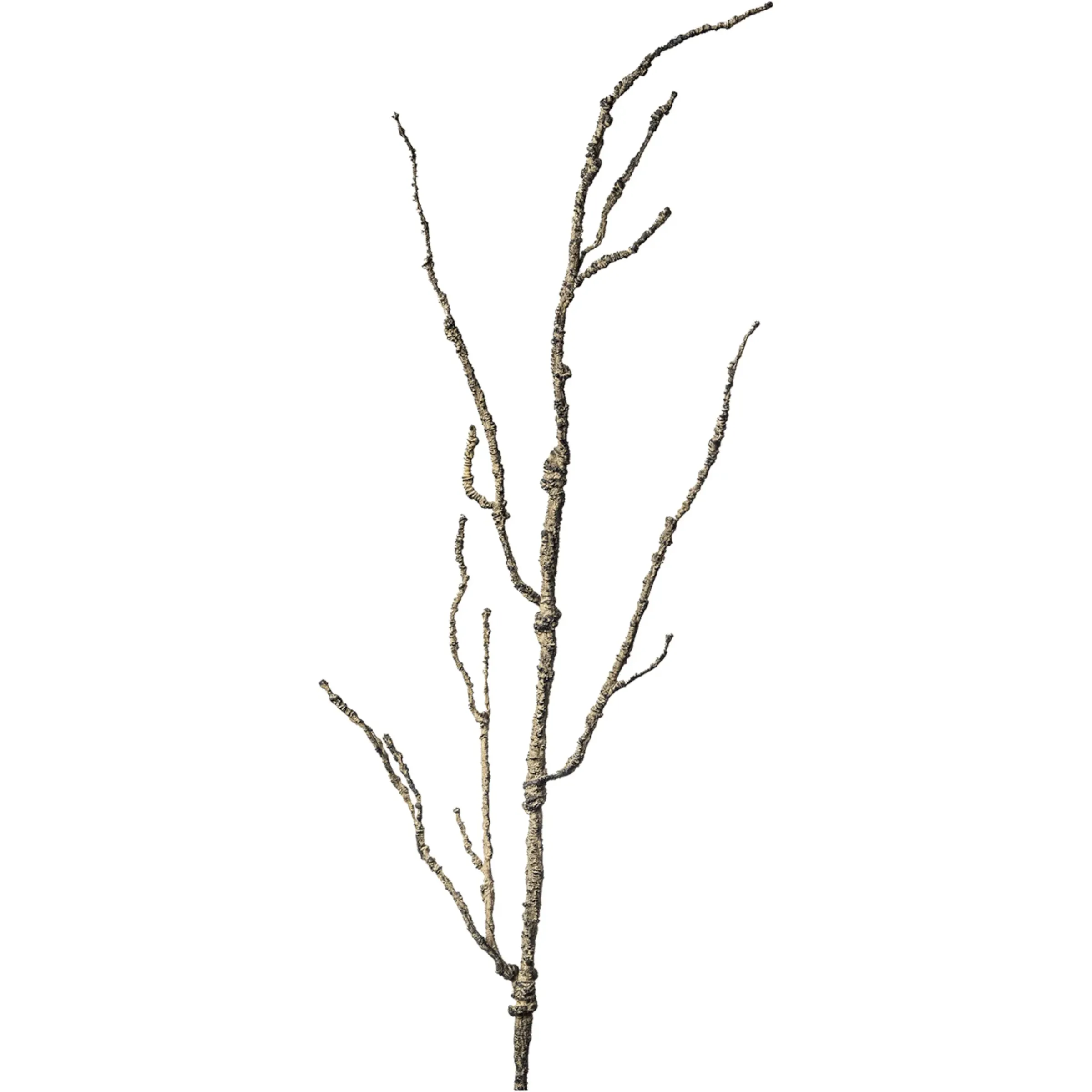 Depot Kunstast> Einzelblumen & Zweige