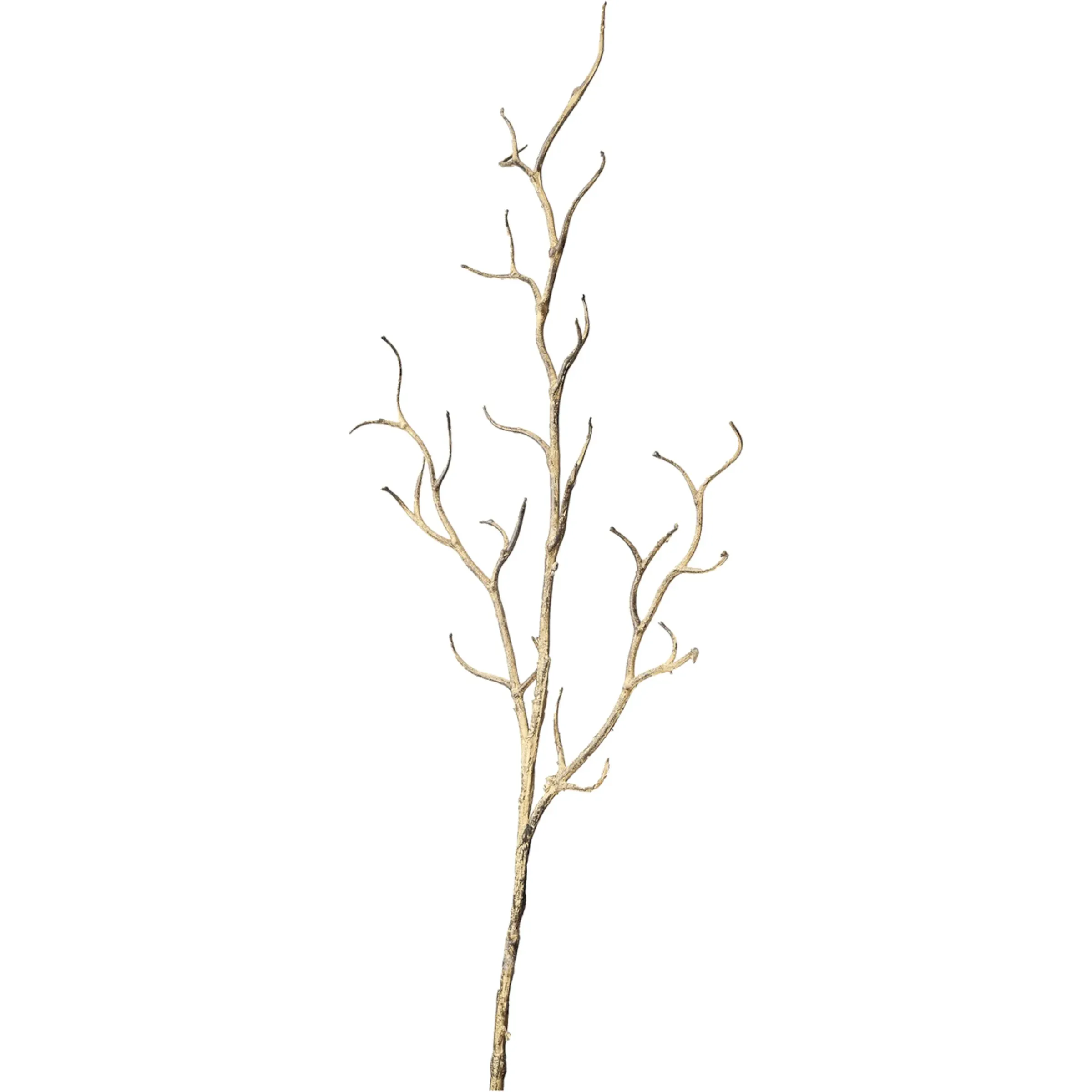 Depot Kunstast> Einzelblumen & Zweige