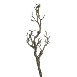 Depot Kunstast Pale> Einzelblumen & Zweige