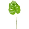 Depot Kunstblatt Monstera> Einzelblumen & Zweige