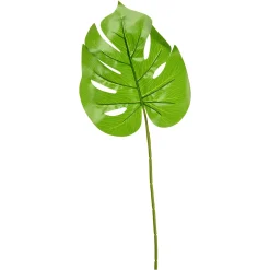 Depot Kunstblatt Monstera> Einzelblumen & Zweige