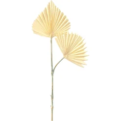 Depot Kunstblatt Palm Leaf> Einzelblumen & Zweige