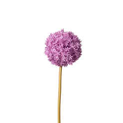 Depot Kunstblume Allium><noscript><img width=