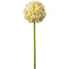 Depot Kunstblume Allium> Einzelblumen & Zweige