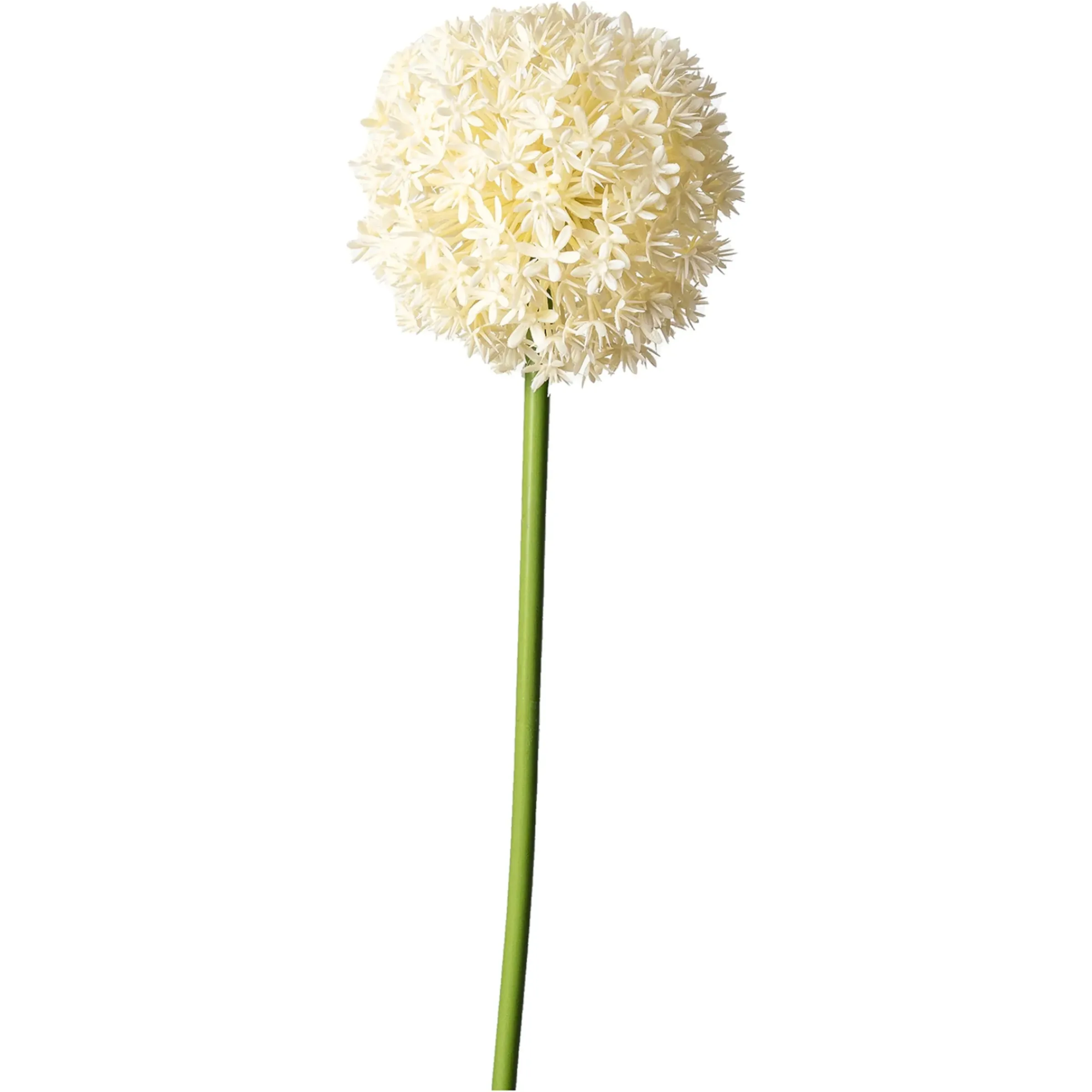 Depot Kunstblume Allium> Einzelblumen & Zweige