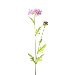 Depot Kunstblume Scabiosa> Einzelblumen & Zweige
