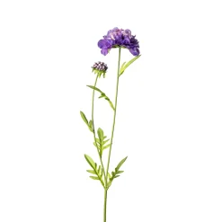 Depot Kunstblume Scabiosa> Einzelblumen & Zweige