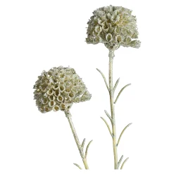 Depot Adventskranz-Deko^Kunstblume Scabosia