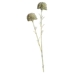 Depot Adventskranz-Deko^Kunstblume Scabosia