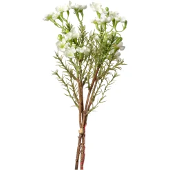 Depot Kunstblumenbund Wachsblume> Einzelblumen & Zweige