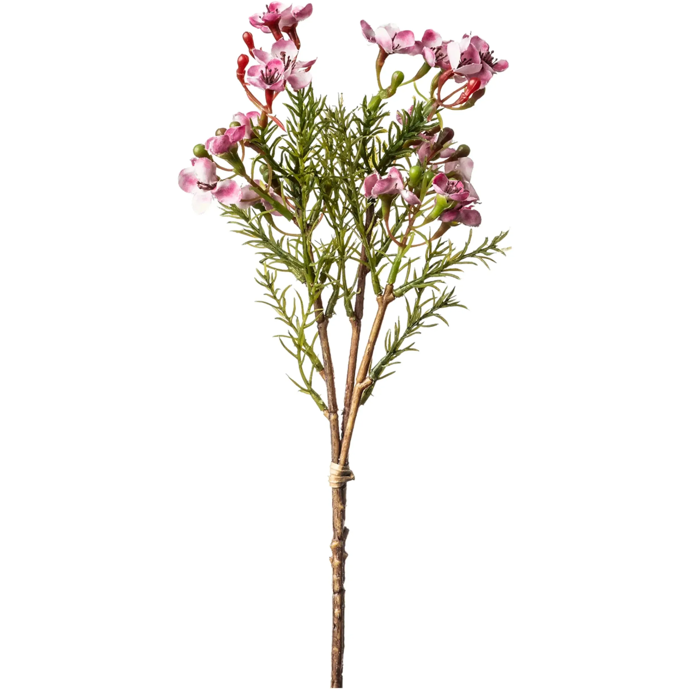 Depot Kunstblumenbund Wachsblume> Einzelblumen & Zweige