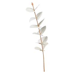 Depot Adventskranz-Deko^Kunst-Blumenpick Eukalyptus