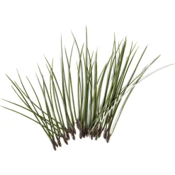 Depot Kunst-Kiefernpick> Basteln & Diy