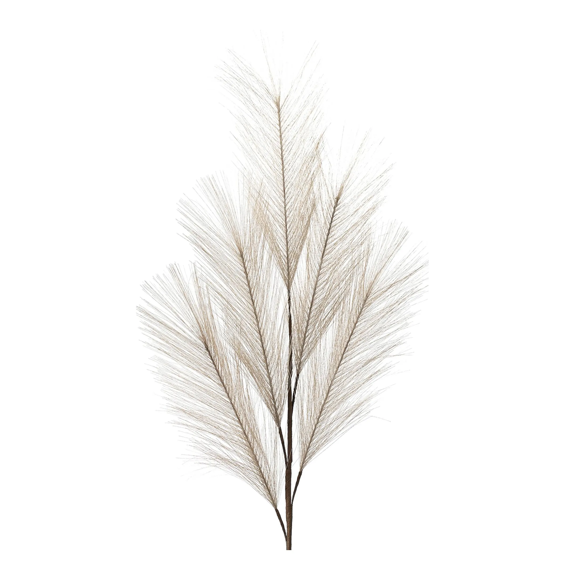 Depot Blumen^Kunst-Pampasgras
