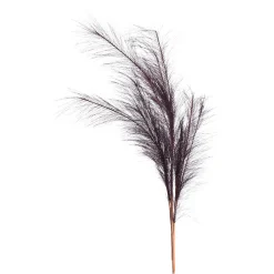 Depot Kunst-Pampasgras> Einzelblumen & Zweige