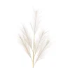 Depot Blumen^Kunst-Pampasgras