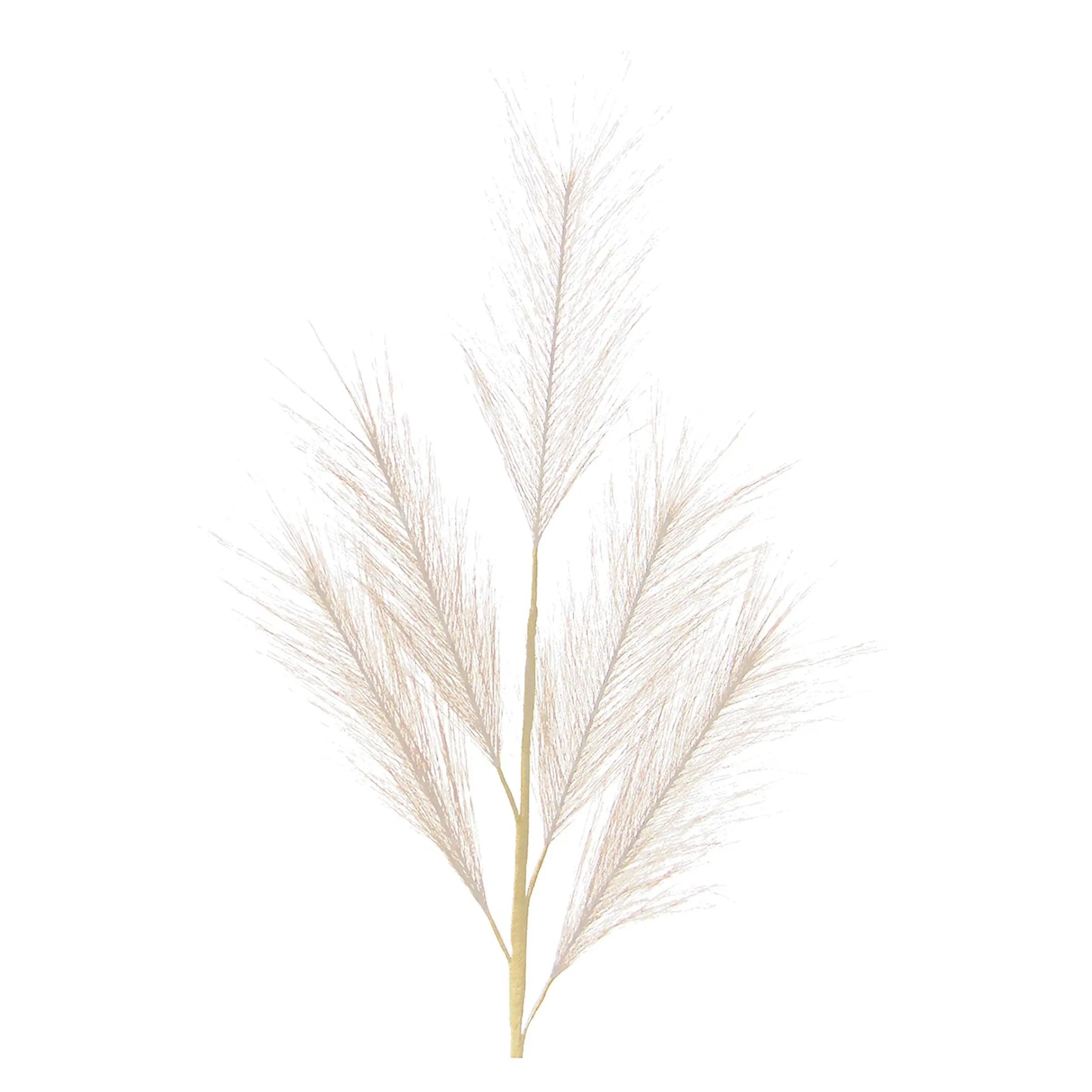 Depot Blumen^Kunst-Pampasgras
