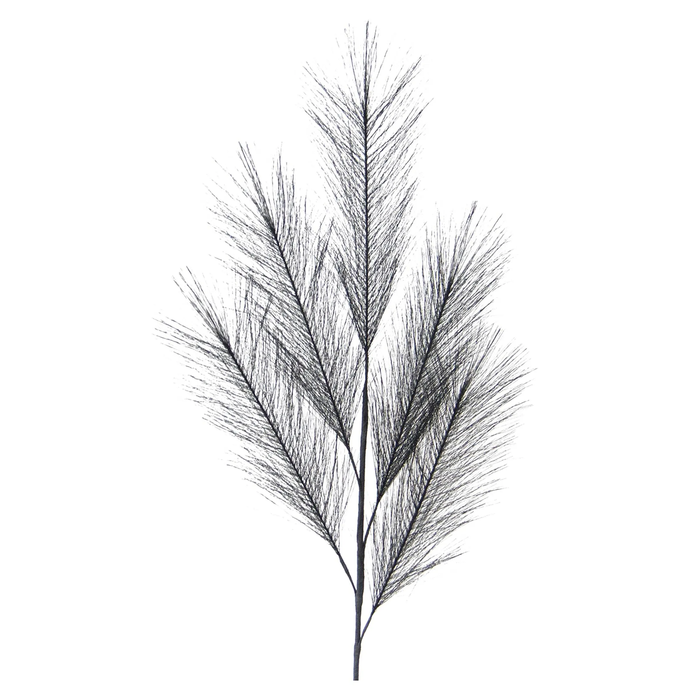 Depot Blumen^Kunst-Pampasgras