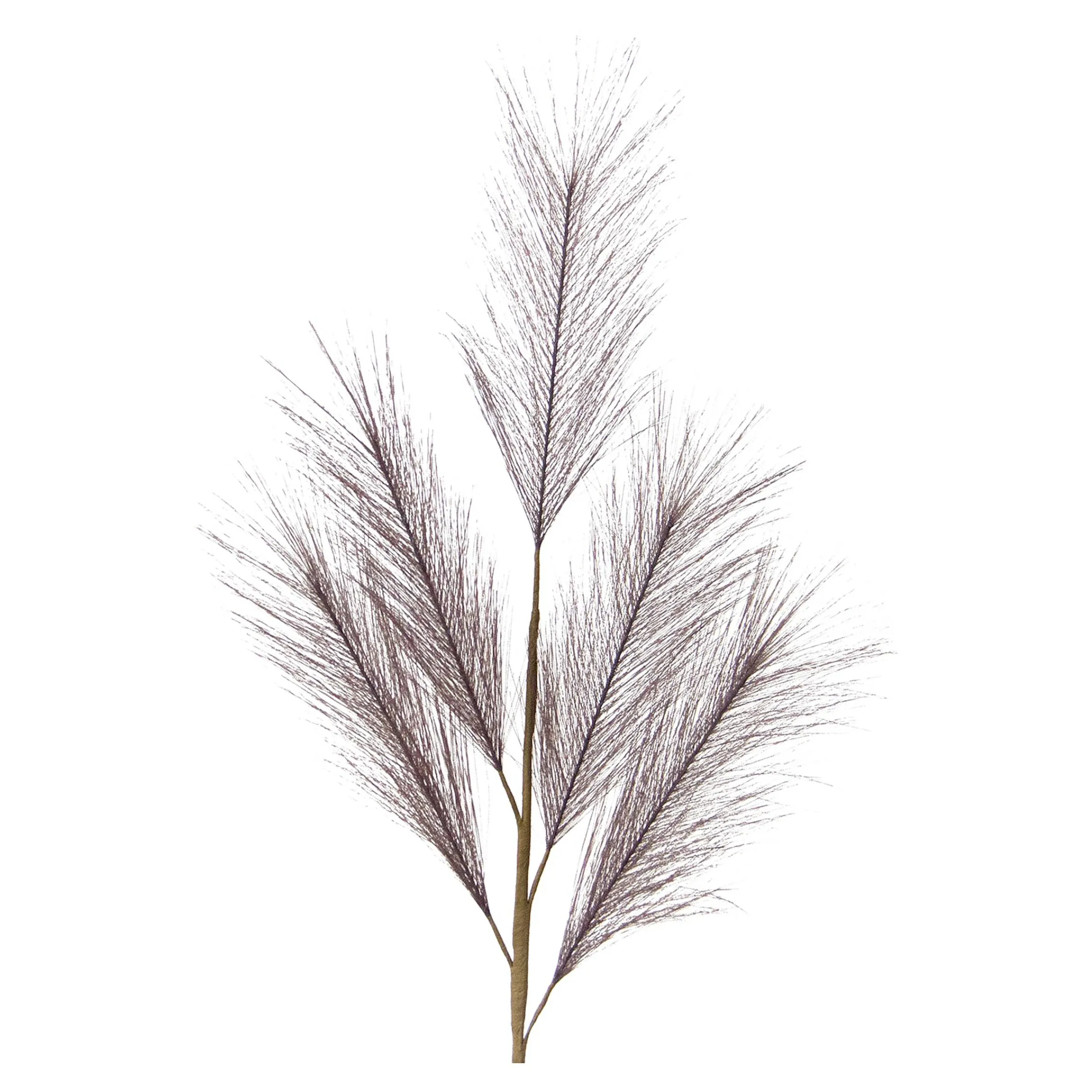 Depot Blumen^Kunst-Pampasgras