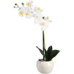 Depot Kunstpflanze Orchidee Phalaenopsis> Kunstpflanzen