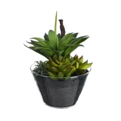 Depot Kunstpflanze Sukkulenten-Mix Im Glasgefas> Kunstpflanzen