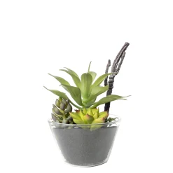 Depot Kunstpflanze Sukkulenten-Mix Im Glasgefas> Kunstpflanzen