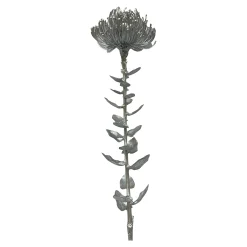 Depot Blumen^Kunst-Stielblume Protea Ca. 67Cm