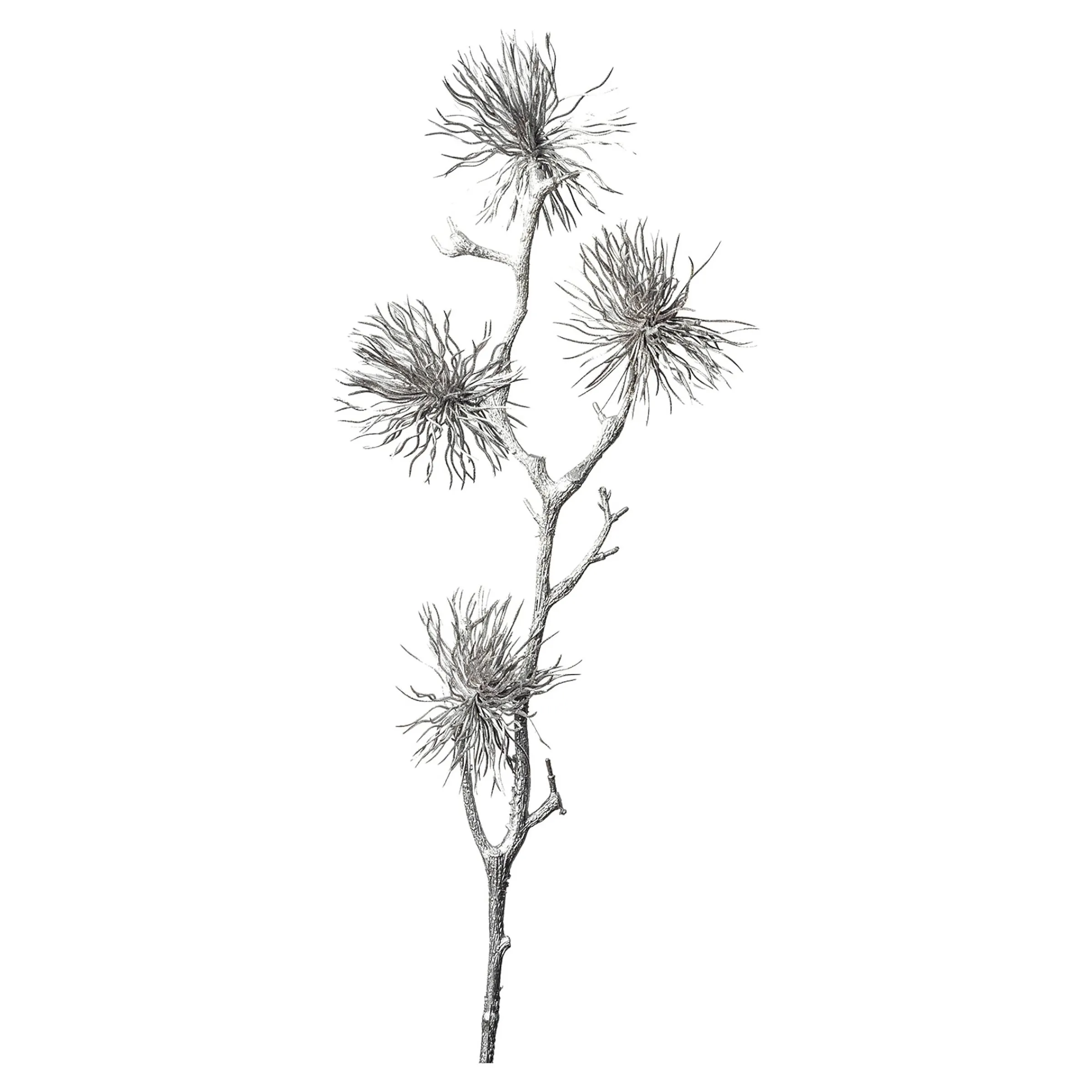 Depot Adventskranz-Deko^Kunstzweig