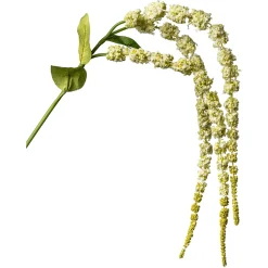 Depot Kunstzweig Amaranthus> Einzelblumen & Zweige